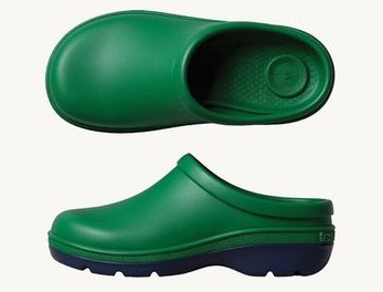 AI render of the same seasonal clog