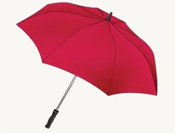 Designer sketch of a umbrella