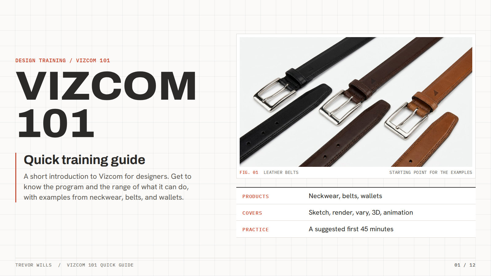 Vizcom 101 guide, page 1: Cover