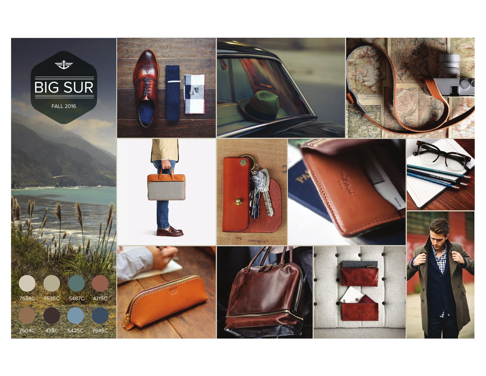 Dockers Big Sur story board with color palette